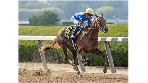 sportsbooks sanford|Sanford .